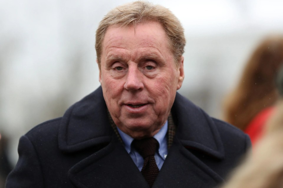 Harry Redknapp has dubbed the shirt the ‘worst own goal ever’