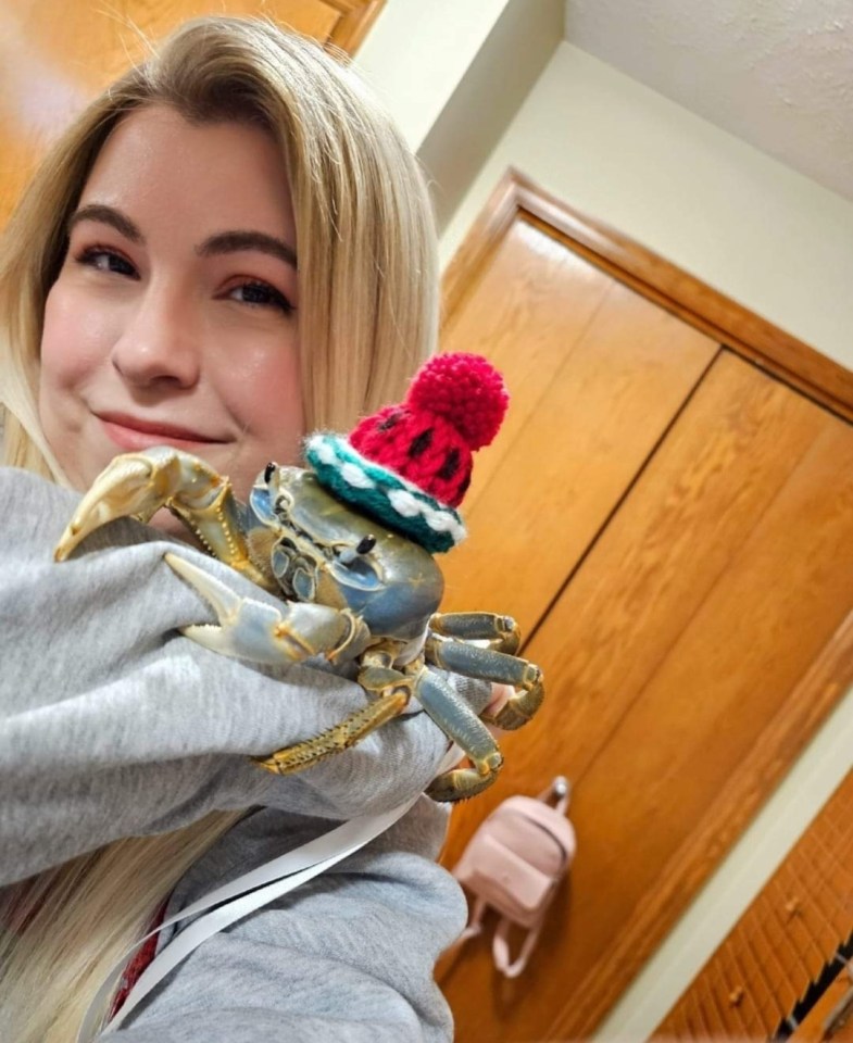 Laura Porter, 38, pictured with her pet crab and internet sensation named Howie