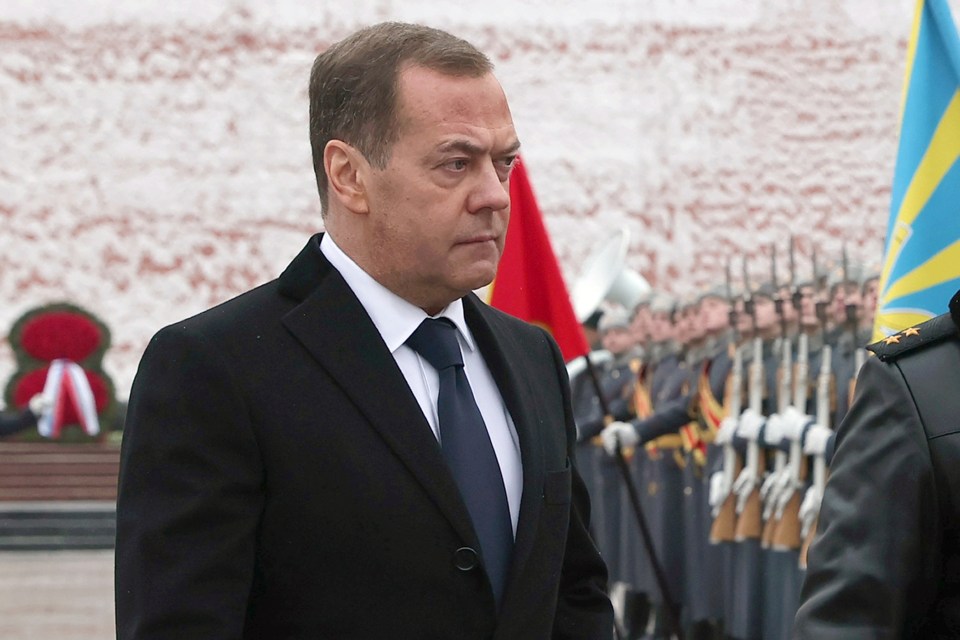 Dmitry Medvedev claimed this proved Germany was 'preparing for war against Russia'