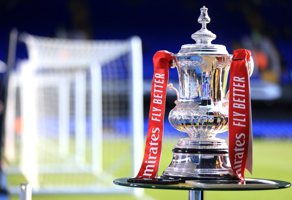 The draw for the FA Cup semi-finals has been made