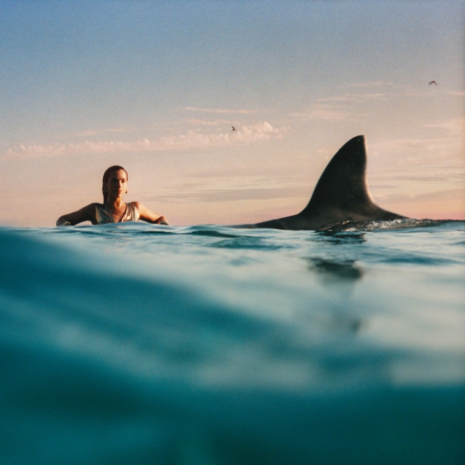 Dua appears to be posing with a shark in the promo shots