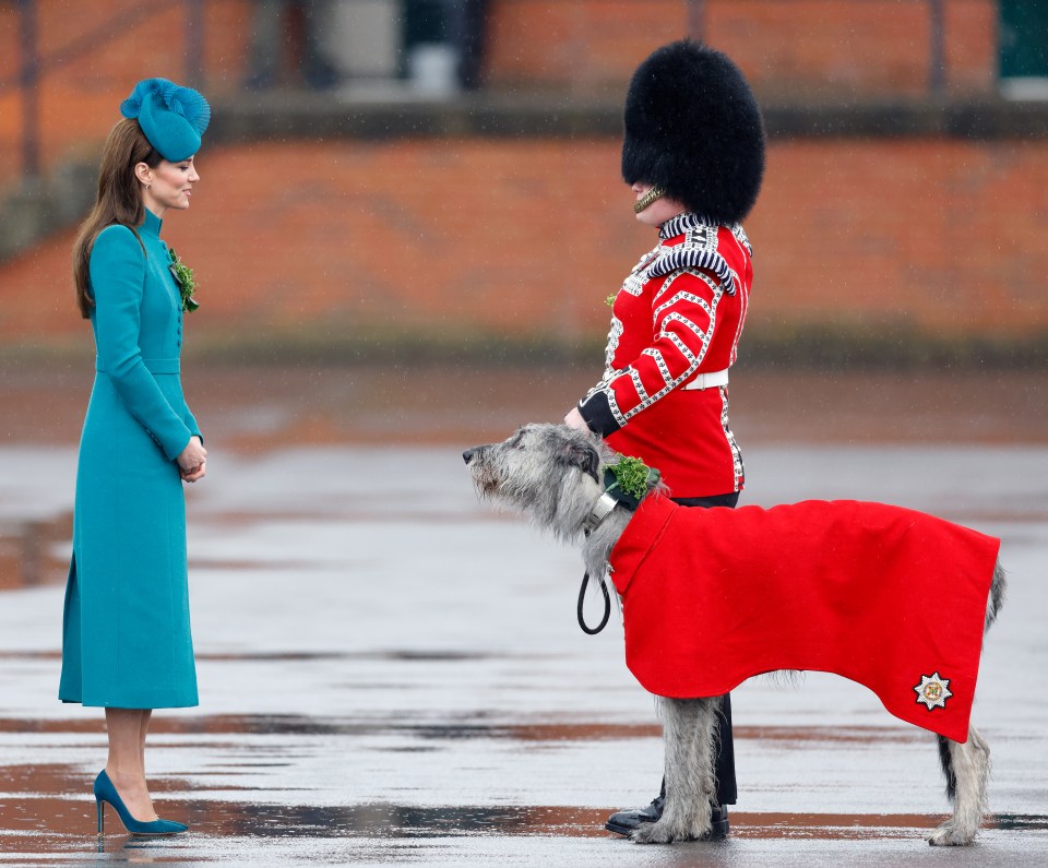 Standing to attention Seamus the Irish Wolfhound with Kate last year