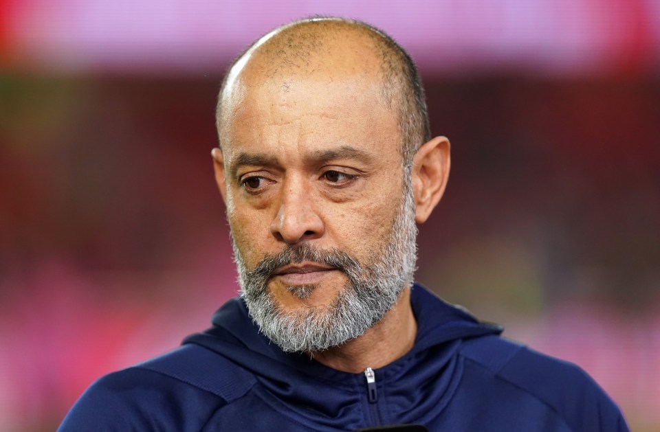 It says the Italian was wanted to replace Nuno Espirito Santo