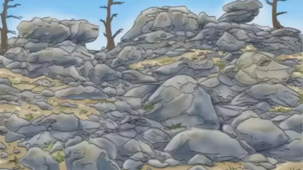 Can you spot the hidden dog in this rocky scene?