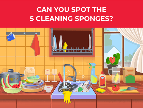 Can you spot all five cleaning sponges?