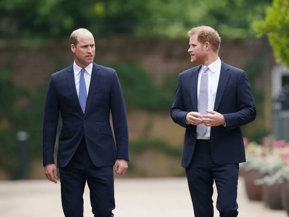 Harry and William have not met publically since May last year