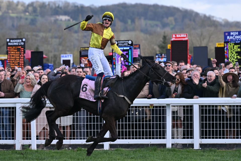 Reigning Gold Cup champ Galopin Des Champs will be one of the stars on show at Cheltenham Festival