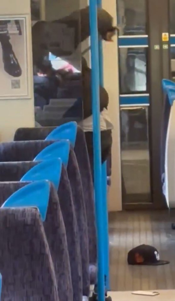 This is the terrifying moment a knifeman stormed a train and attacked a passenger