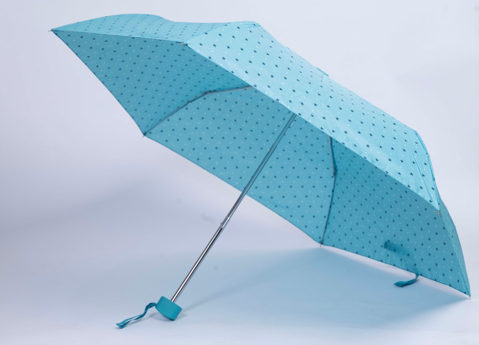 For surviving an unexpected everyday drenching this brolly is a good-value cheap and cheerful choice