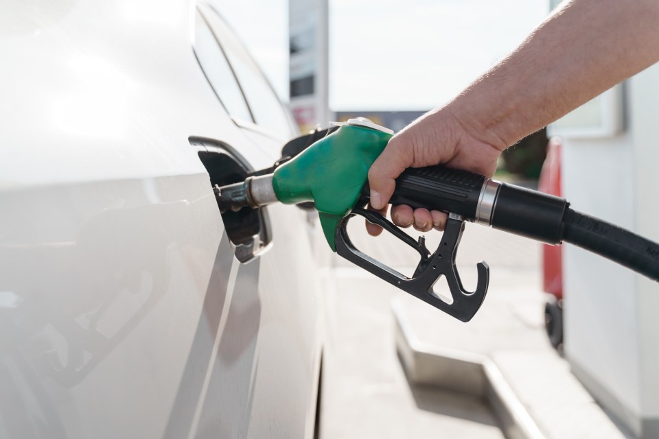 Cash-strapped motorists will be able to live-check petrol prices by the end of the year