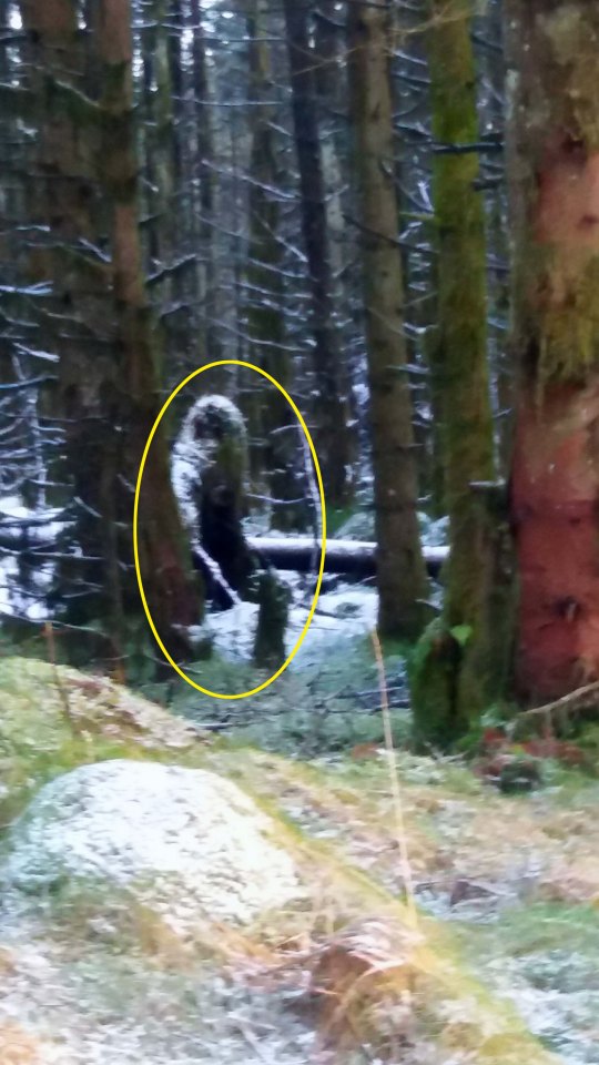 This mysterious image was snapped in County Antrim, Northern Ireland, in 2017