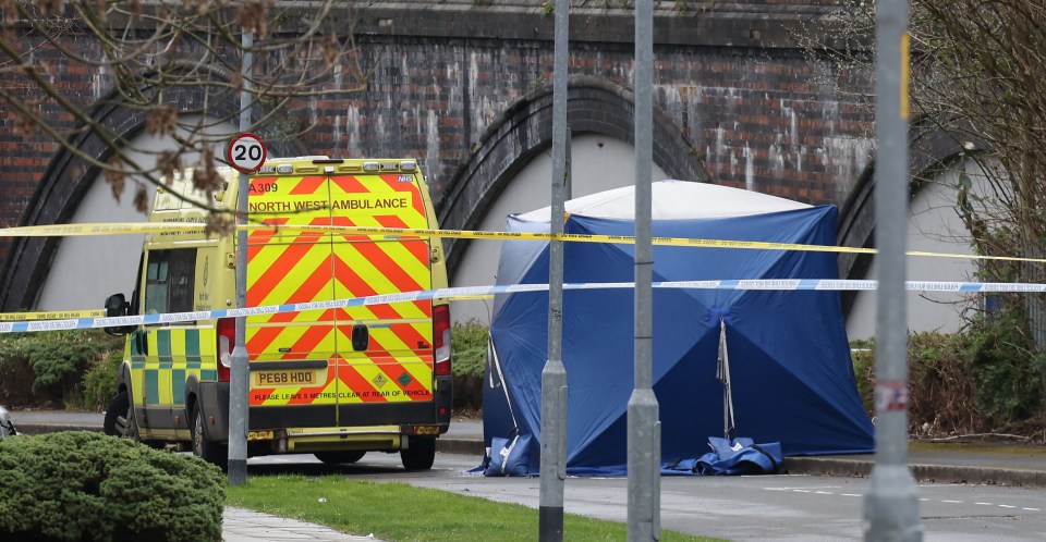 Two suspects have been arrested after a man was killed near Man City's Etihad Stadium