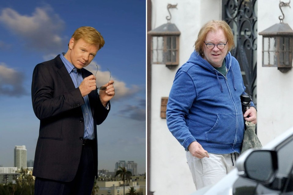 David Caruso looks very different from his CSI: Miami days