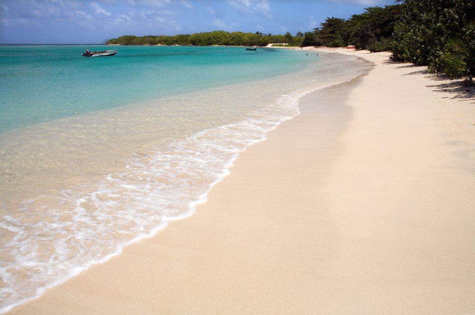 Mr and Mrs Foster's bodies were found on Paradise Beach on Sunday