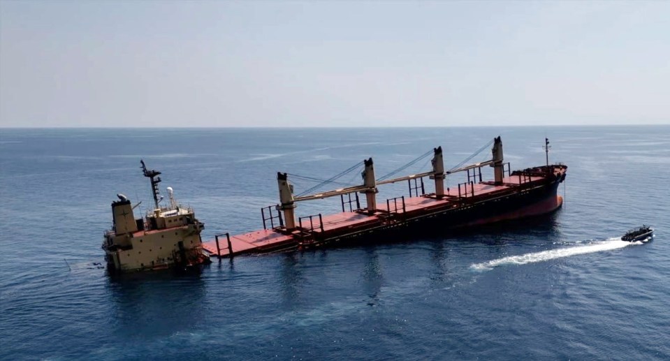 Brit-registered cargo ship Rubymar (pictured) sank in the Red Sea