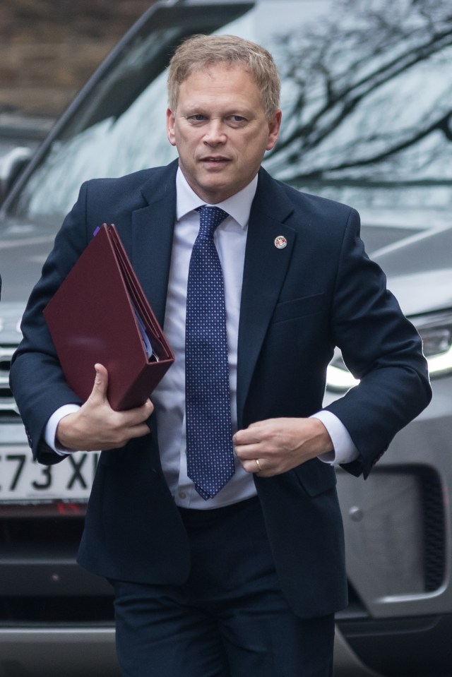 Defence Sec Grant Shapps could be waiting in the wings to pounce on Rishi's downfall