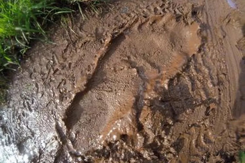 Hikers in Devon stumbled across this huge footprint