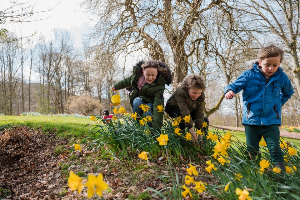 We’ve spotted the best Easter staycation deals at Haven, Parkdean Resorts, and Park Holidays, starting from just £7pp a night