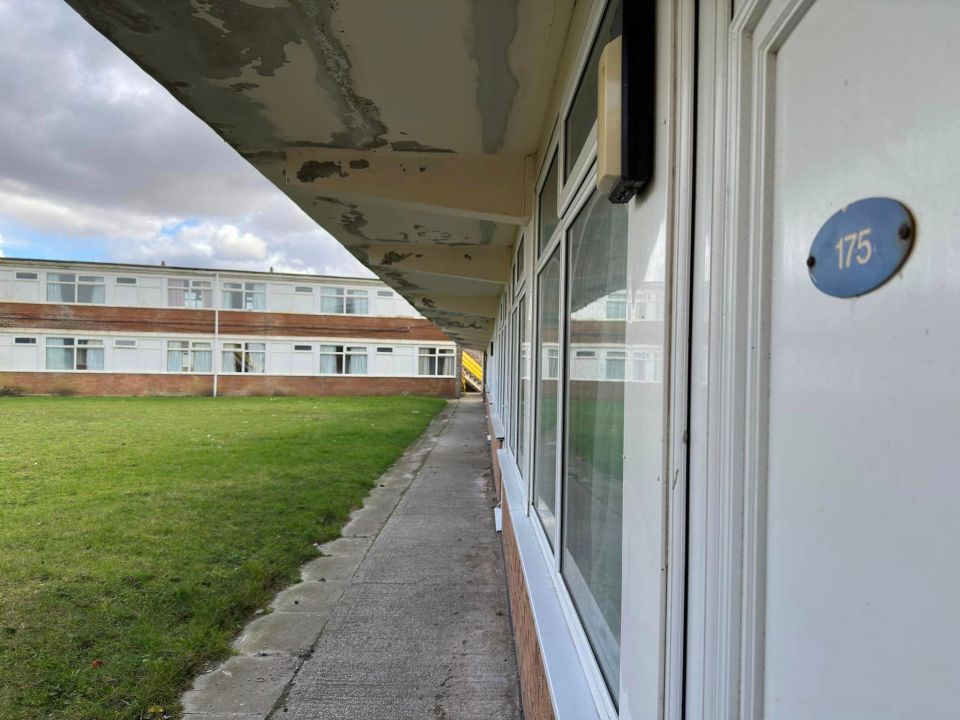 What looks like mold has began to claim the buildings while they sit empty