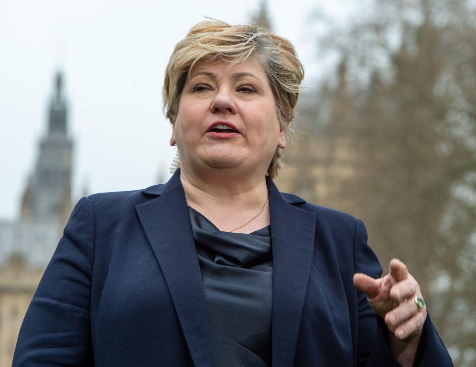 Shadow Attorney General Emily Thornberry attacked Nike for their decision, but was condemned after mocking a man for flying the flag outside his home a decade ago