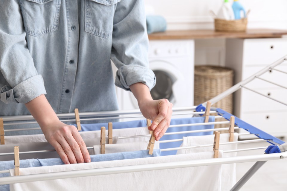 The drying racks allow you to save on electricity and dry clothes indoors and outside