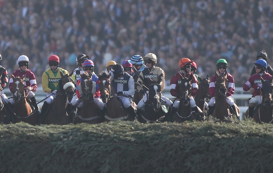 The £1million Grand National is the biggest betting race of the year and Templegate's determined to find you the winner