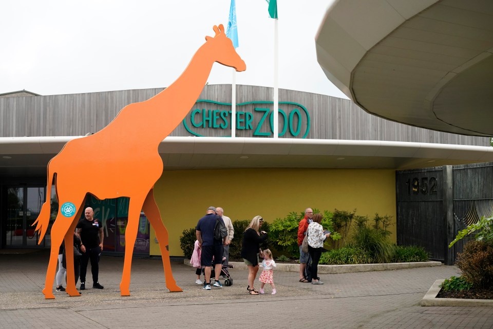 Chester Zoo is open as usual on the August bank holiday