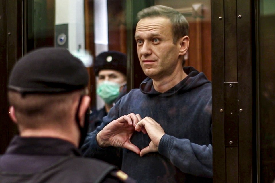 Kremlin critic Alexei Navalny was allegedly poisoned by a chemical attack he felt was caused by Russia