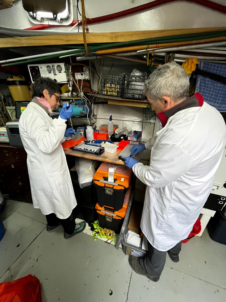 Researchers working on Devil Island in Antarctica a few weeks ago