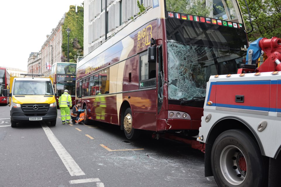 Big Bus Tours said that a horse ran into one of its parked buses