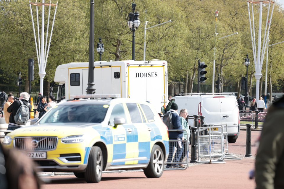 City of London Police said officers had contained two horses