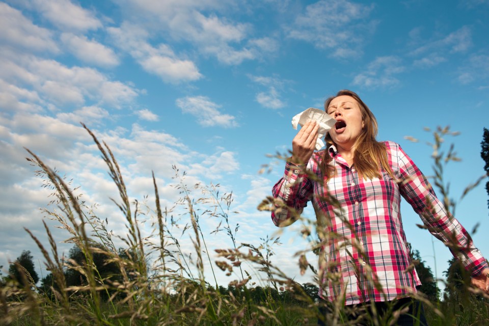 Sun on Sunday Health gets in touch with allergy experts as hay fever season hits