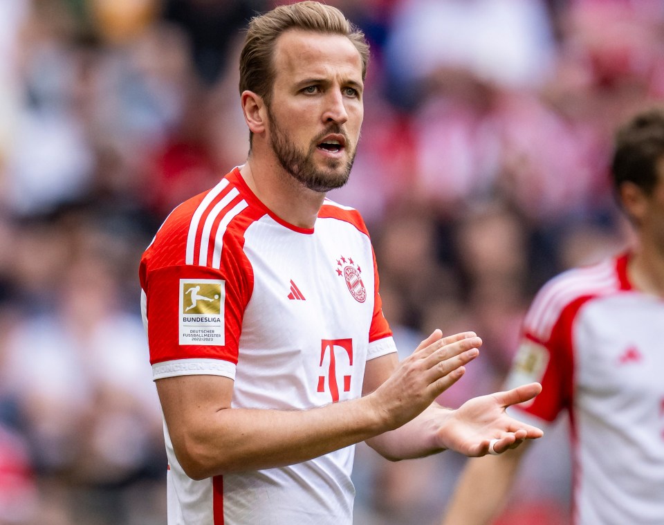 Harry Kane missed out on the Bundesliga title