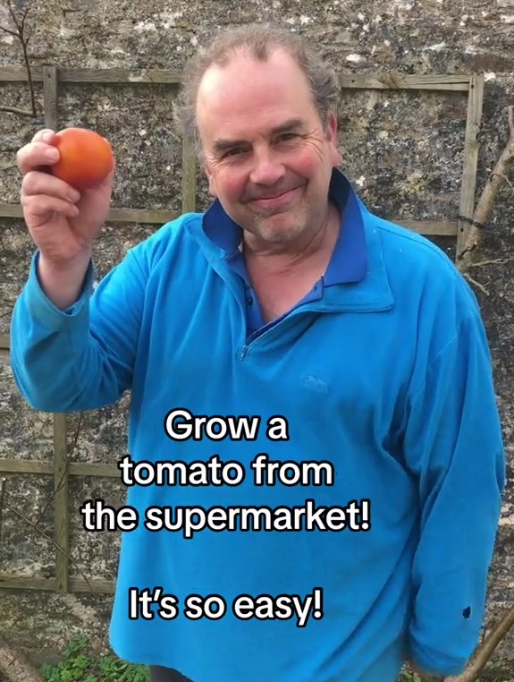 Simon shared his tomato growing hack on his TikTok account