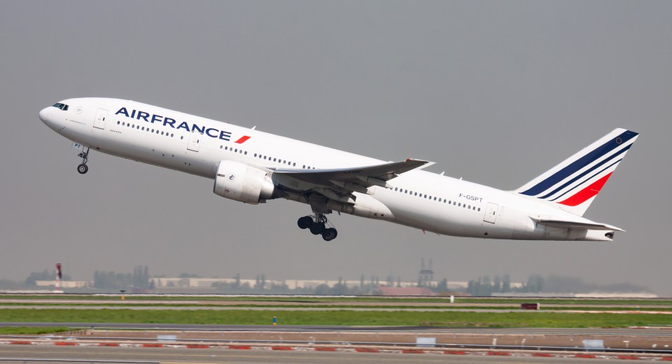 The failed asylum seeker's deportation was grounded when the Air France jet crew refused to take off with him on board (stock image)