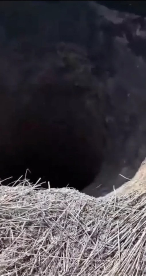 A deep sinkhole has suddenly appeared in a cornfield in Russia