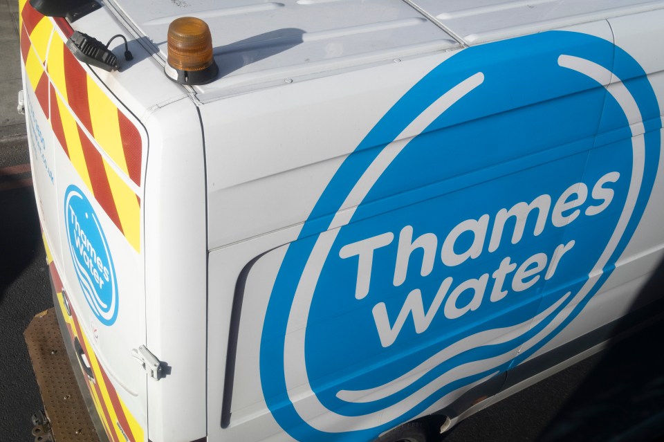 Thames Water has called for a 40 per cent bill increase - which becomes 56 per cent once inflation is added