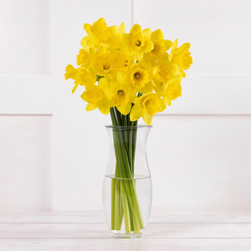 Sainsbury’s now has bunches of daffodils for £1