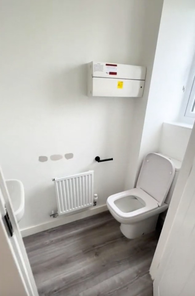 The downstairs toilet was originally perfectly fine if rather drab