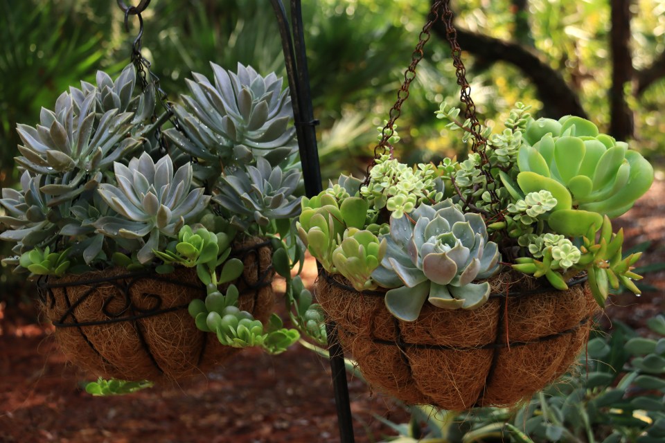 Gardeners are already planning how they could use the planters in alternative ways