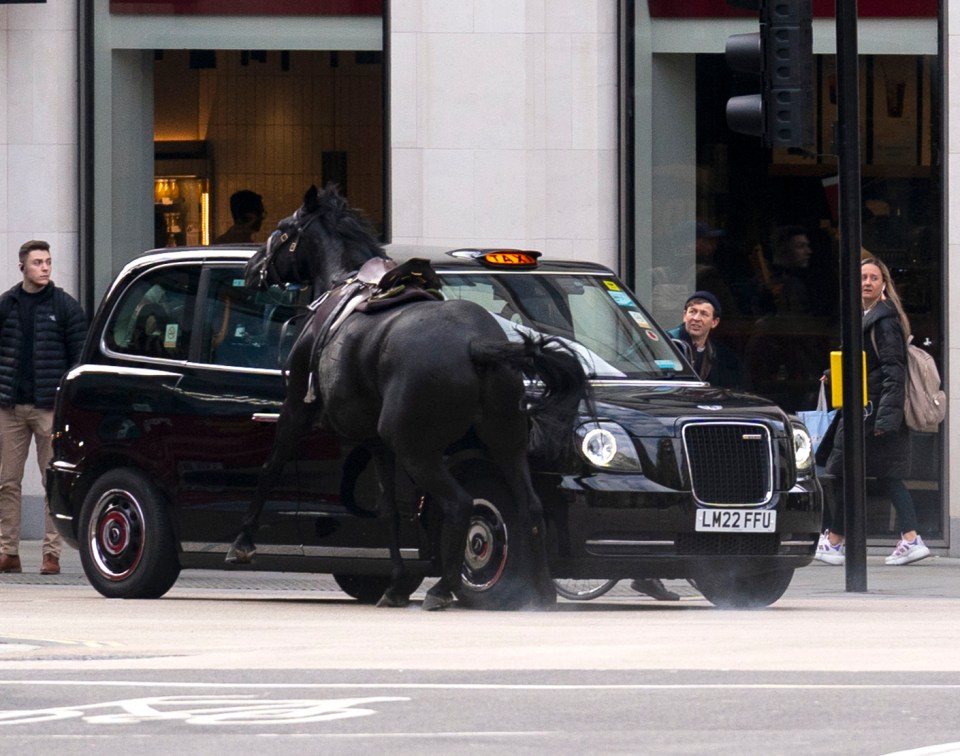 Quaker collides with a black taxi