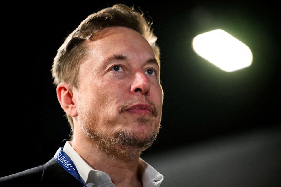 Equality think-tank British future slammed Twitter/X boss Elon Musk for a 'systemic failure' to tackle the most obvious and appalling racism