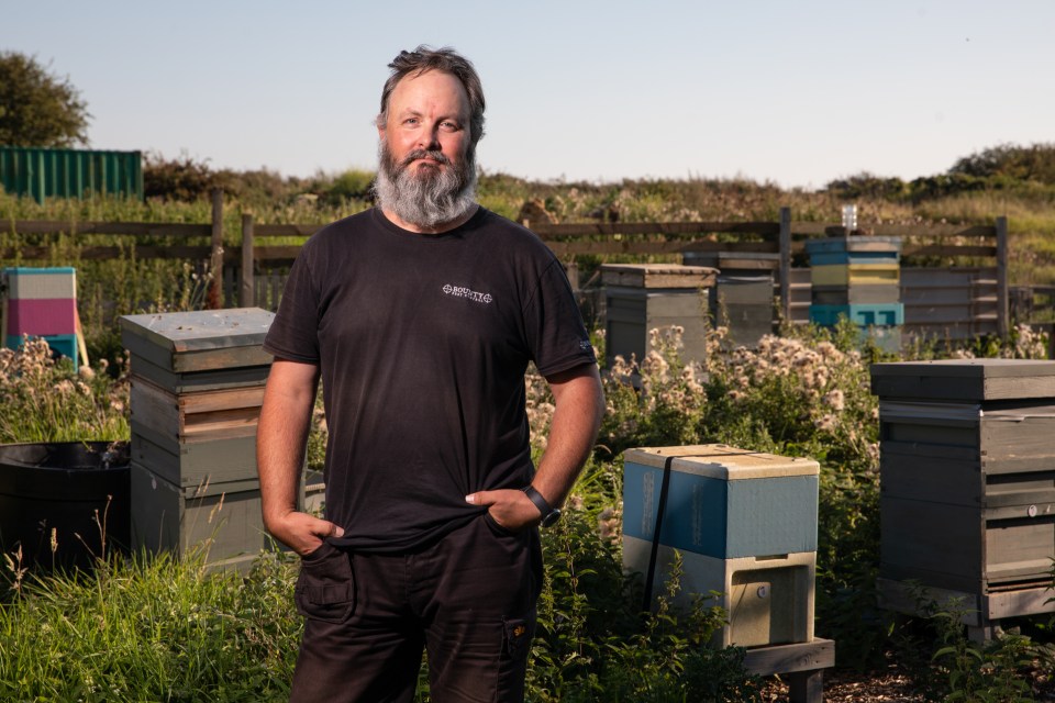 Kent-based beekeeper Simon Spratley lost 15 out of 17 of his hives to hornets last year