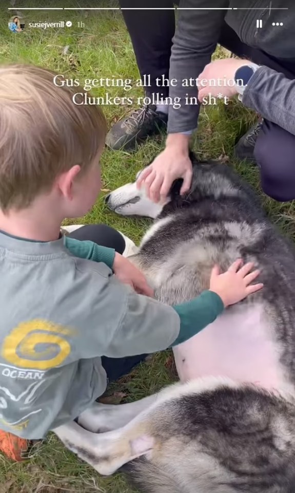 Greg's fiancé Susie posted a video of the family giving Gus belly rubs