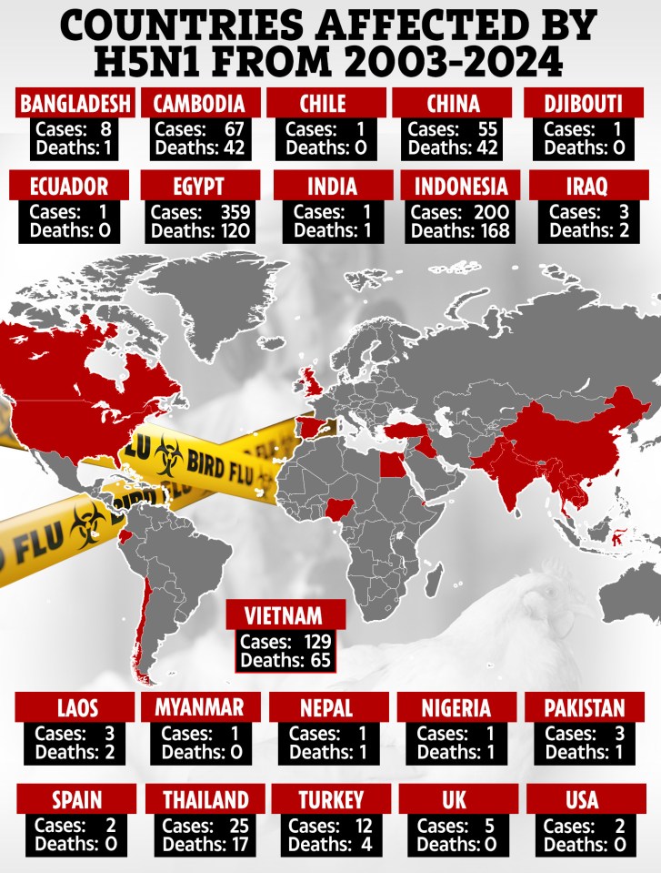 Map reveals where in the world has seen outbreaks of H51N in humans