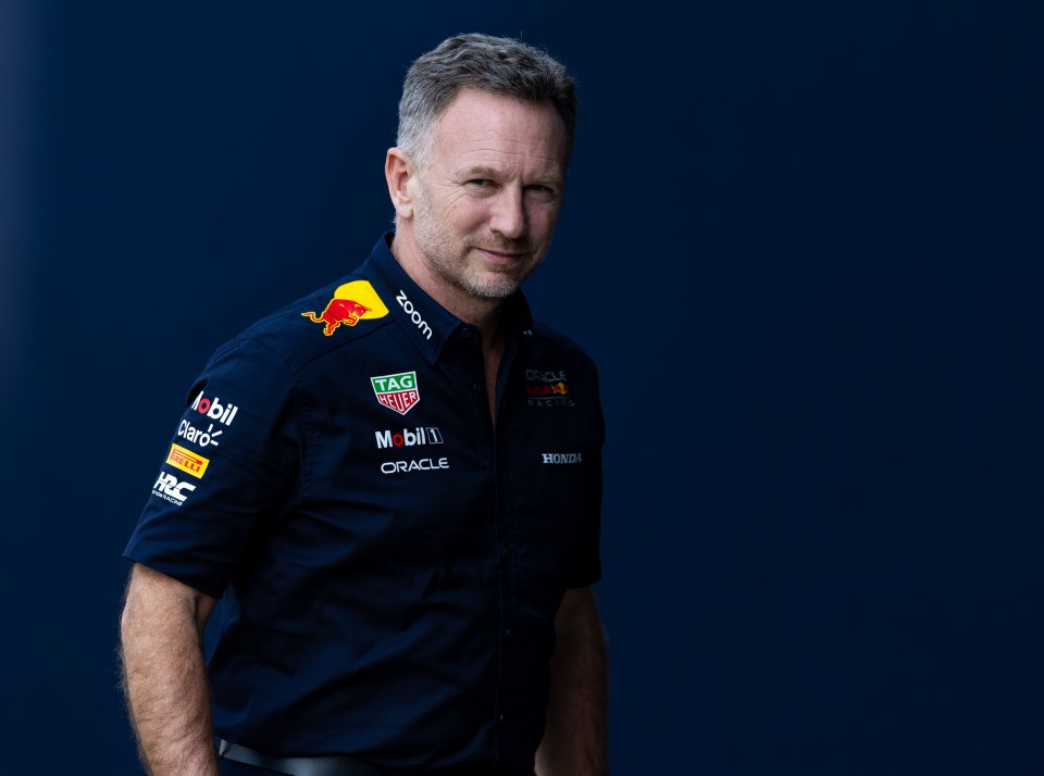 Horner could be made to speak to investigators again over the claims