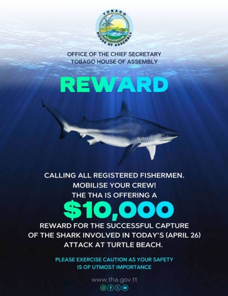 A $10,000 reward was offered to any fisherman who managed to catch the shark