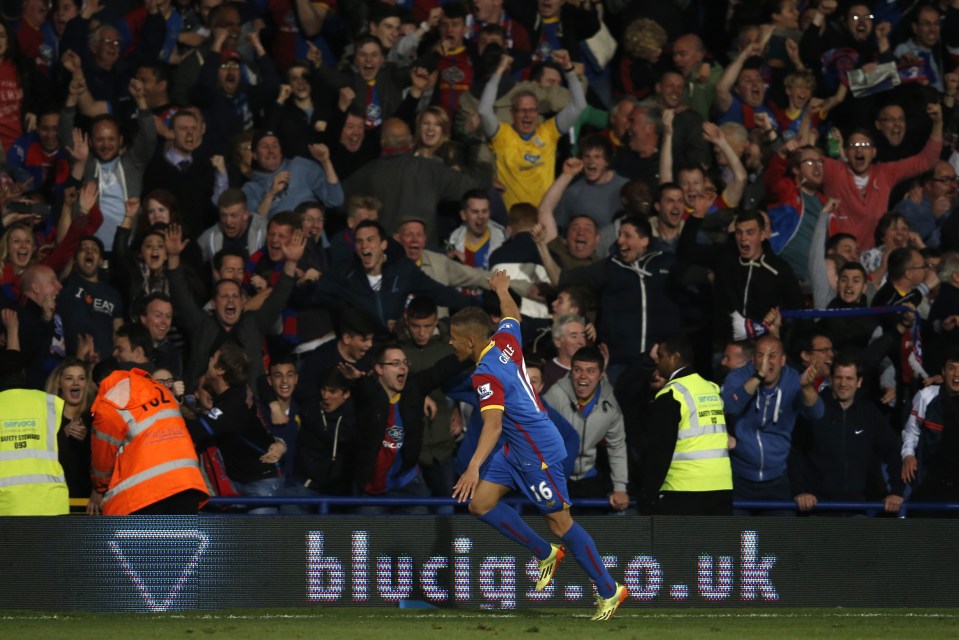 The goal sparked wild scenes at Selhurst Park - and among Manchester City fans