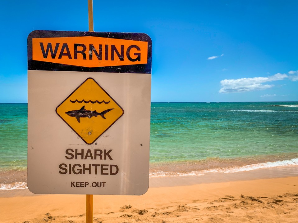 The horror incident took place in Bombie Surfing Spot near Exmouth (stock picture)