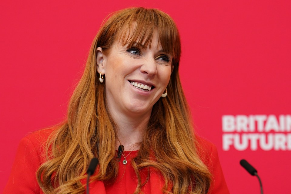 Labour deputy leader Angela Rayner is now under police investigation